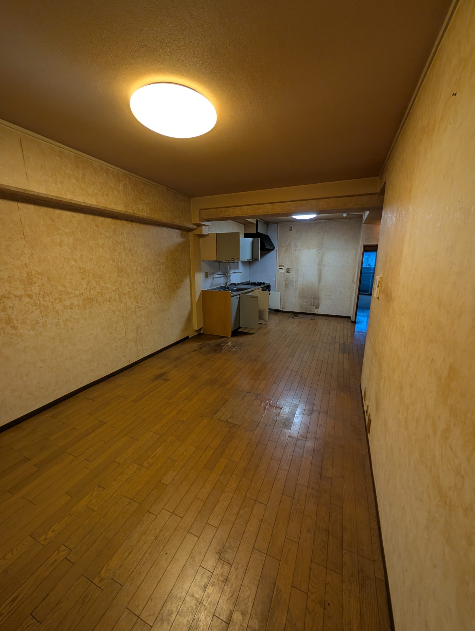 Apartment for sale in Port Island Kobe - Amazing Realty - Living Room Dining Kitchen